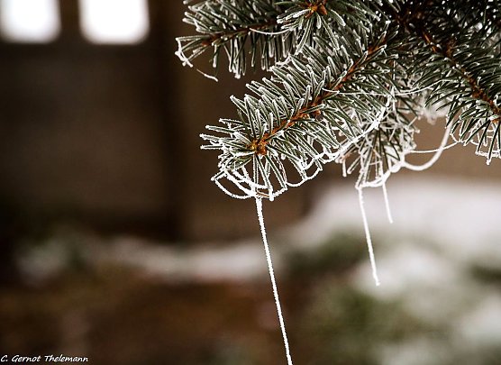 Wetter-Bild (Foto: Gernot Thelemann)