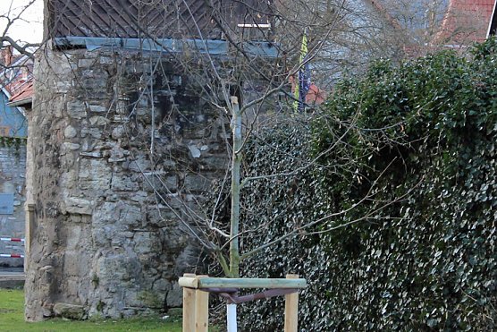 Nach Alarm gefl&uuml;chtet (Foto: Karl-Heinz Herrmann)