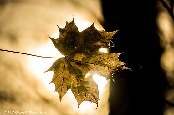 Wetter-Bild (Foto: Gernot Thelemann)
