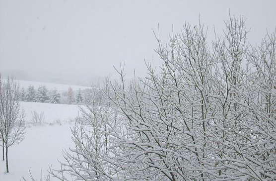 Winterlandschaft (Foto: Karl-Heinz Herrmann)