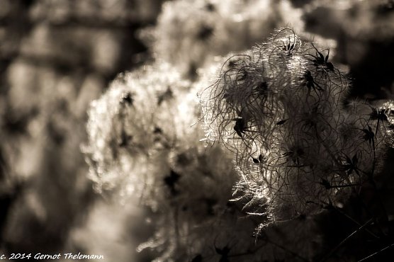 Wetter-Bild (Foto: Gernot Thelemann)