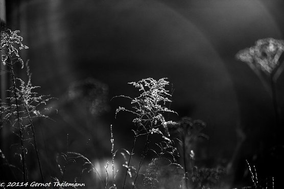 Wetter-Bild (Foto: Gernot Thelemann)