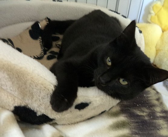 Ilona (Foto: C. Knust) Ilona (Foto: C. Knust)