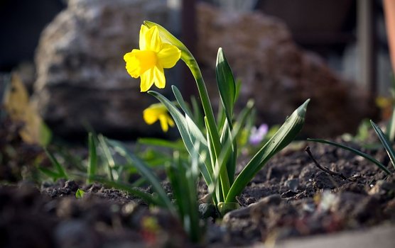 Wetter-Bild (Foto: Gernot Thelemann) Wetter-Bild (Foto: Gernot Thelemann)