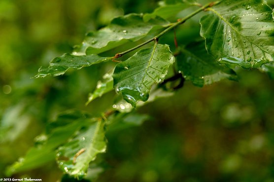 Wetter-Bild (Foto: Gernot Thelemann) Wetter-Bild (Foto: Gernot Thelemann)