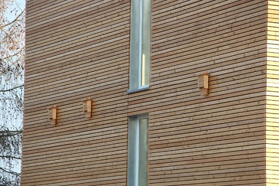 Lärchenholz (Foto: ThüringenForst) Lärchenholz (Foto: ThüringenForst)