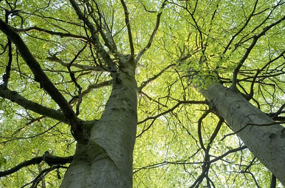 Die Hohe Schrecke in Bildern (Foto: Thomas Stephan)