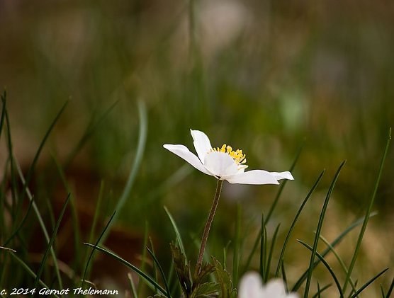 Wetter-Bild (Foto: Gernot Thelemann)