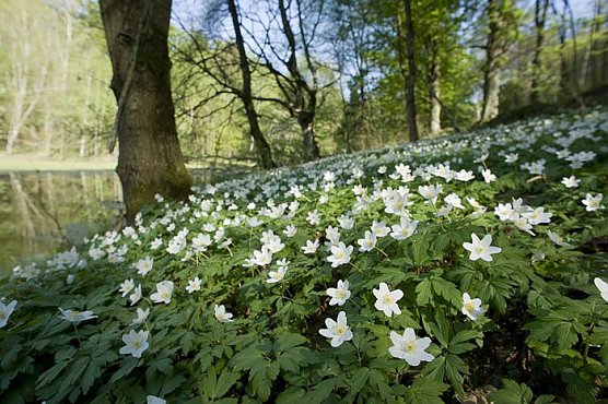 Der Natur auf der Spur (Foto: Thomas Stephan) Der Natur auf der Spur (Foto: Thomas Stephan)
