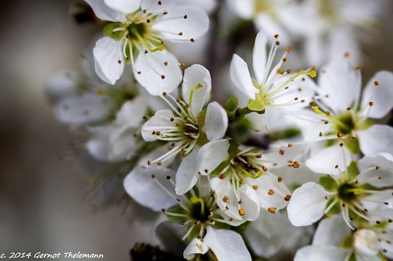 Wetter-Bild (Foto: Gernot Thelemann)