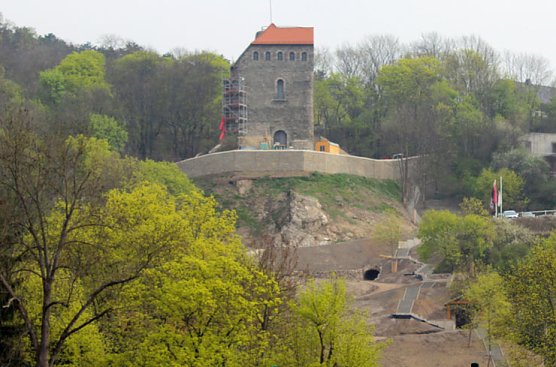 Antlitz ver&auml;ndert (Foto: privat)