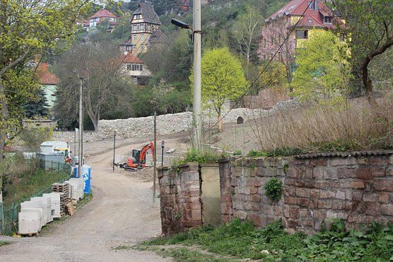 Antlitz ver&auml;ndert (Foto: privat)