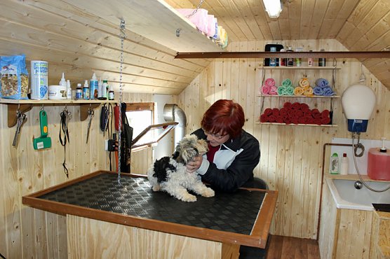Hundesalon im Zirkuswagen (Foto: Karl-Heinz Herrmann) Hundesalon im Zirkuswagen (Foto: Karl-Heinz Herrmann)