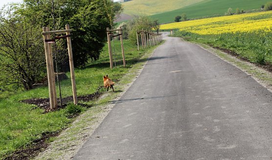 Sieg nach Punkten f&uuml;r kn (Foto: Karl-Heinz Herrmann)