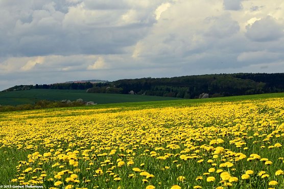 Wetter-Bild (Foto: Gernot Thelemann)