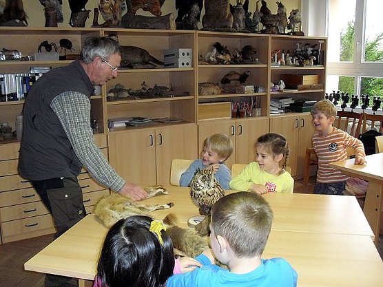 Das Damwild auf dem Rathsfeld (Foto: Stadt Bad Frankenhausen)