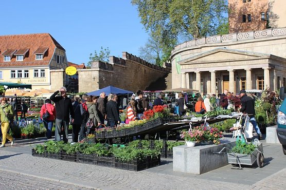Pflanzen über Pflanzen (Foto: Karl-Heinz Herrmann) Pflanzen über Pflanzen (Foto: Karl-Heinz Herrmann)