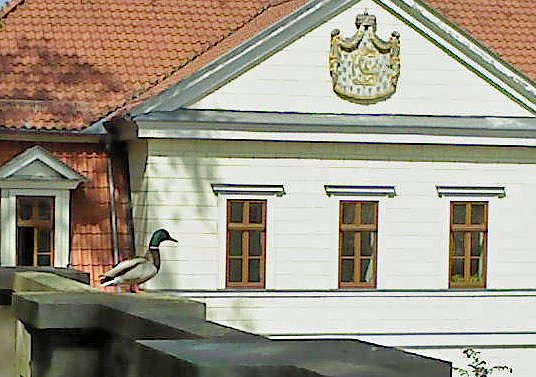 Amtserpel passt auf (Foto: Peter R&uuml;besam)