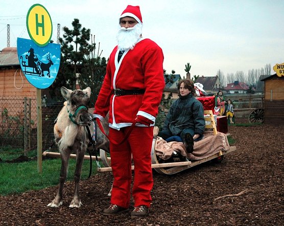 Zu Besuch (Foto: nnz)