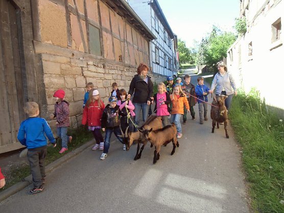 Abschlussfahrt der Schulanf&auml;nger (Foto: Kindervilla Bad Frankenhausen)