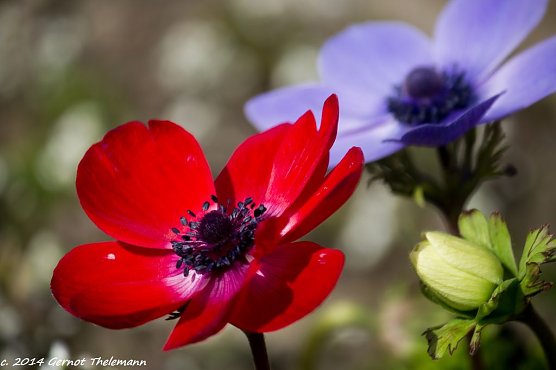 Wetter-Bild (Foto: Gernot Thelemann)