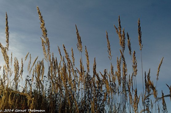 Wetterbild (Foto: Gernot Thelemann) Wetterbild (Foto: Gernot Thelemann)