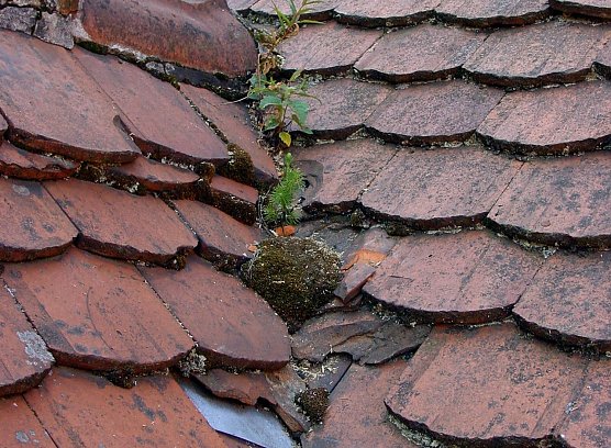 Schlechter Zustand (Foto: HF Redaktion) Schlechter Zustand (Foto: HF Redaktion)