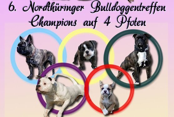 Champions gesucht (Foto: privat) Champions gesucht (Foto: privat)