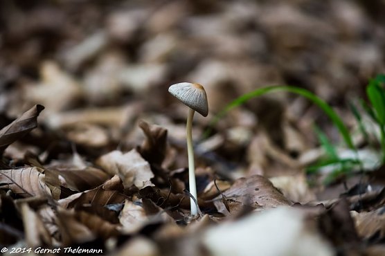 Wetter-Bild (Foto: Gernot Thelemann)
