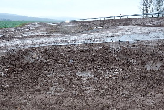 Spur im Schlamm (Foto: Karl-Heinz Herrmann) Spur im Schlamm (Foto: Karl-Heinz Herrmann)
