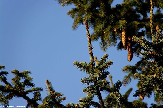 Wetter-Bild (Foto: Gernot Thelemann)