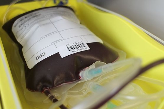 Blut rettet Leben (Foto: Angelo Glashagel) Blut rettet Leben (Foto: Angelo Glashagel)