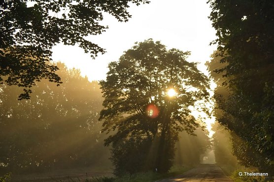 Wetter-Bild (Foto: Gernot Thelemann)