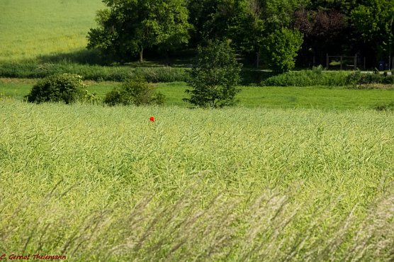 Wetter-Bild (Foto: Gernot Thelemann) Wetter-Bild (Foto: Gernot Thelemann)