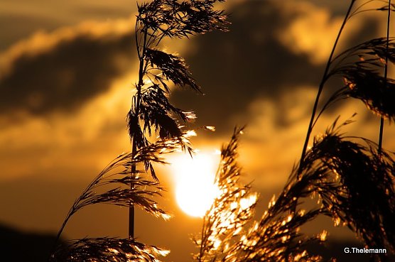 Wetter-Bild (Foto: Gernot Thelemann)