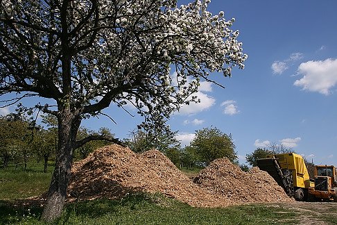 Energieautark in die Zukunft (Foto: Naturschutzprojekt Hohe Schrecke)