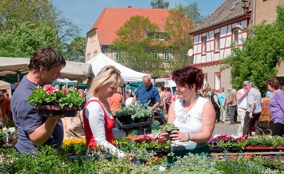 Thema Streuobstwiesen (Foto: Thomas Stephan)