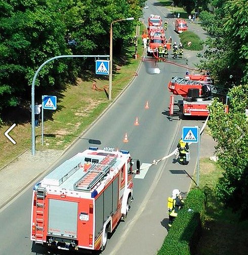 Brand Borntal (Foto: Cobaltblue Sea) Brand Borntal (Foto: Cobaltblue Sea)