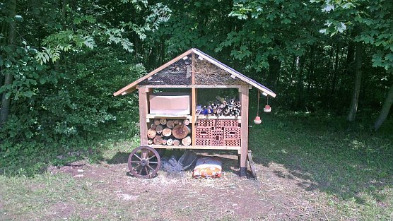 "Projekt in der Natur" (Foto: privat)