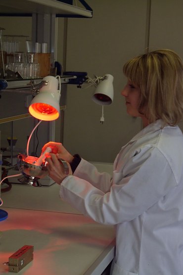 Letzte Chance (Foto: Stadt Bad Frankenhausen) Letzte Chance (Foto: Stadt Bad Frankenhausen)