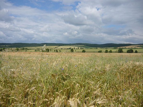 Kulinarische Radtour (Foto: Hohe Schrecke)