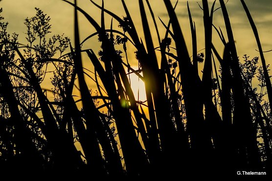 Wetter-Bild (Foto: Gernot Thelemann)