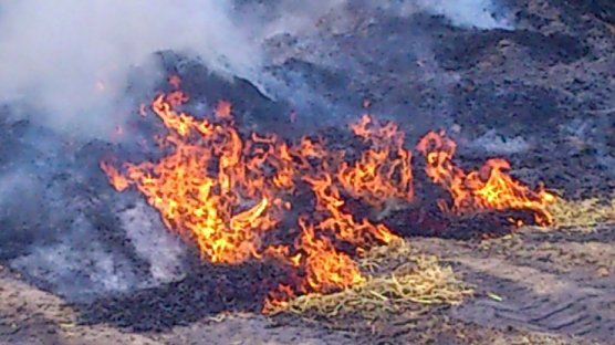 Brand bei Rockensußra (Foto: Privat) Brand bei Rockensußra (Foto: Privat)