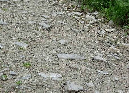 Das weckt Begehrlichkeiten! (Foto: Karl-Heinz Herrmann) Das weckt Begehrlichkeiten! (Foto: Karl-Heinz Herrmann)