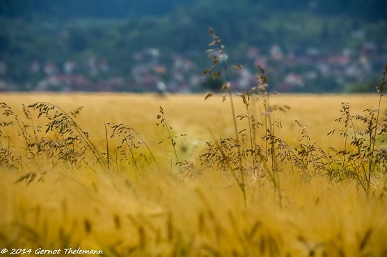 Wetterbild (Foto: Gernot Thelemann) Wetterbild (Foto: Gernot Thelemann)
