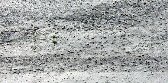 Dank an spontane Helfer (Foto: Karl-Heinz Herrmann)