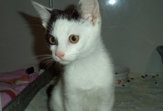 Holger (Foto: C. Knust)