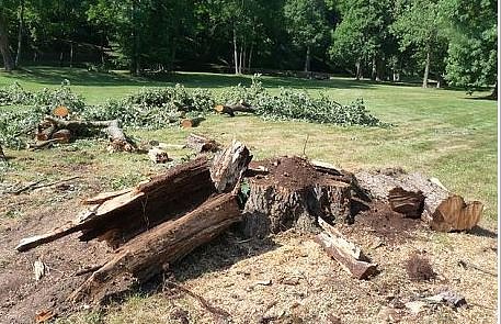 Muss etwas getan werden? (Foto: Karl-Heinz Herrmann)