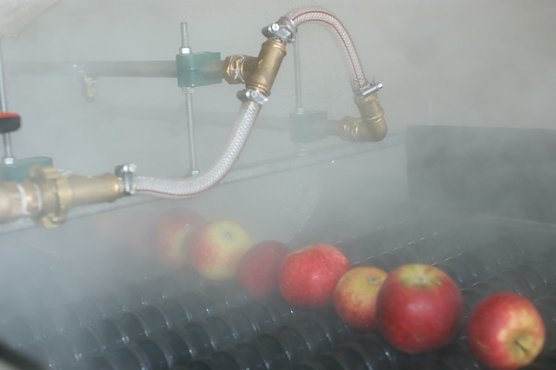 Apfeldusche (Foto: Peter Maxin/Obstbauversuchsanstalt Jork)