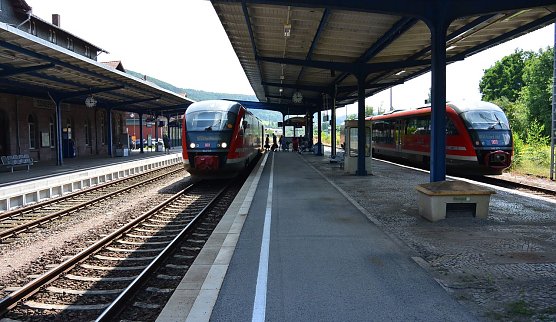 Nicht ausd&uuml;nnen (Foto: A. Wieninger)